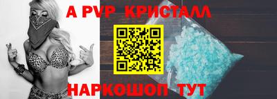 хмурый Кингисепп
