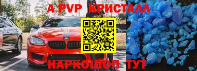 хмурый Кингисепп