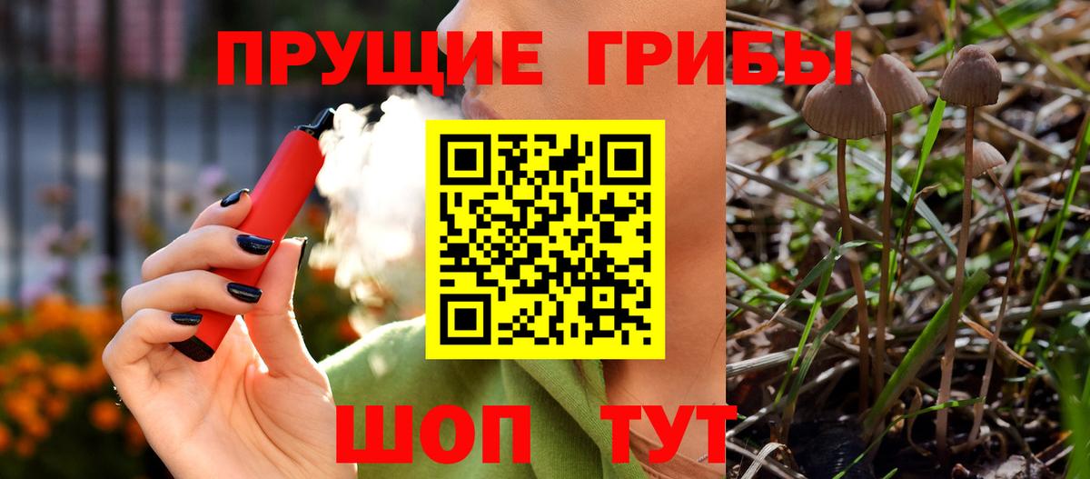 Псилоцибиновые грибы Psilocybine cubensis Арсеньев